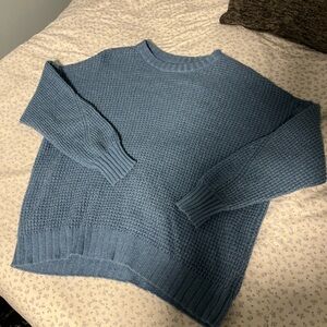 Blue American Eagle Knit Sweater